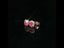 Orecchini punto luce con zaffiri rosa Lab-Grown taglio cuscino e diamanti Lab-Grown taglio brillante.