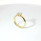 Solitario Claw