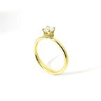 Solitario Crown Detail